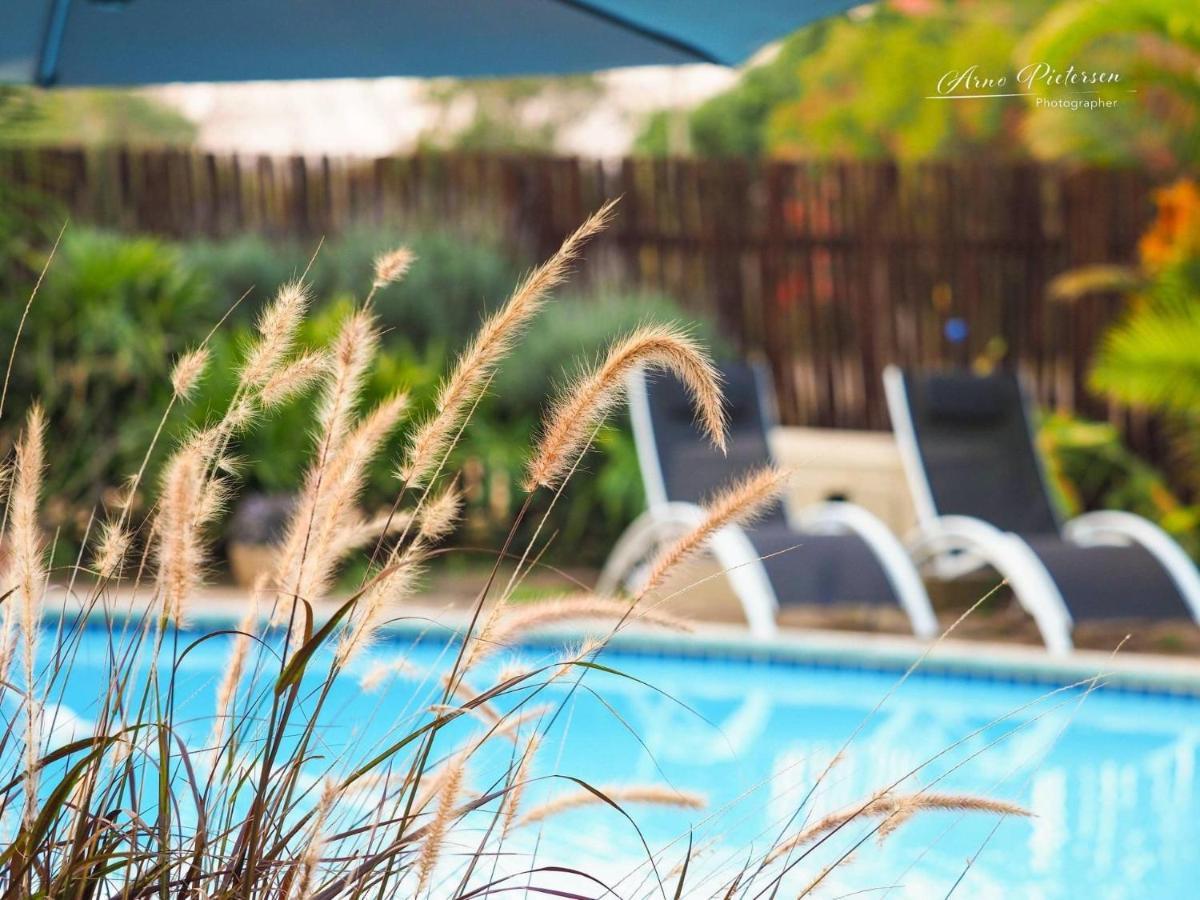 Fever Tree Guesthouse Hillcrest Dış mekan fotoğraf