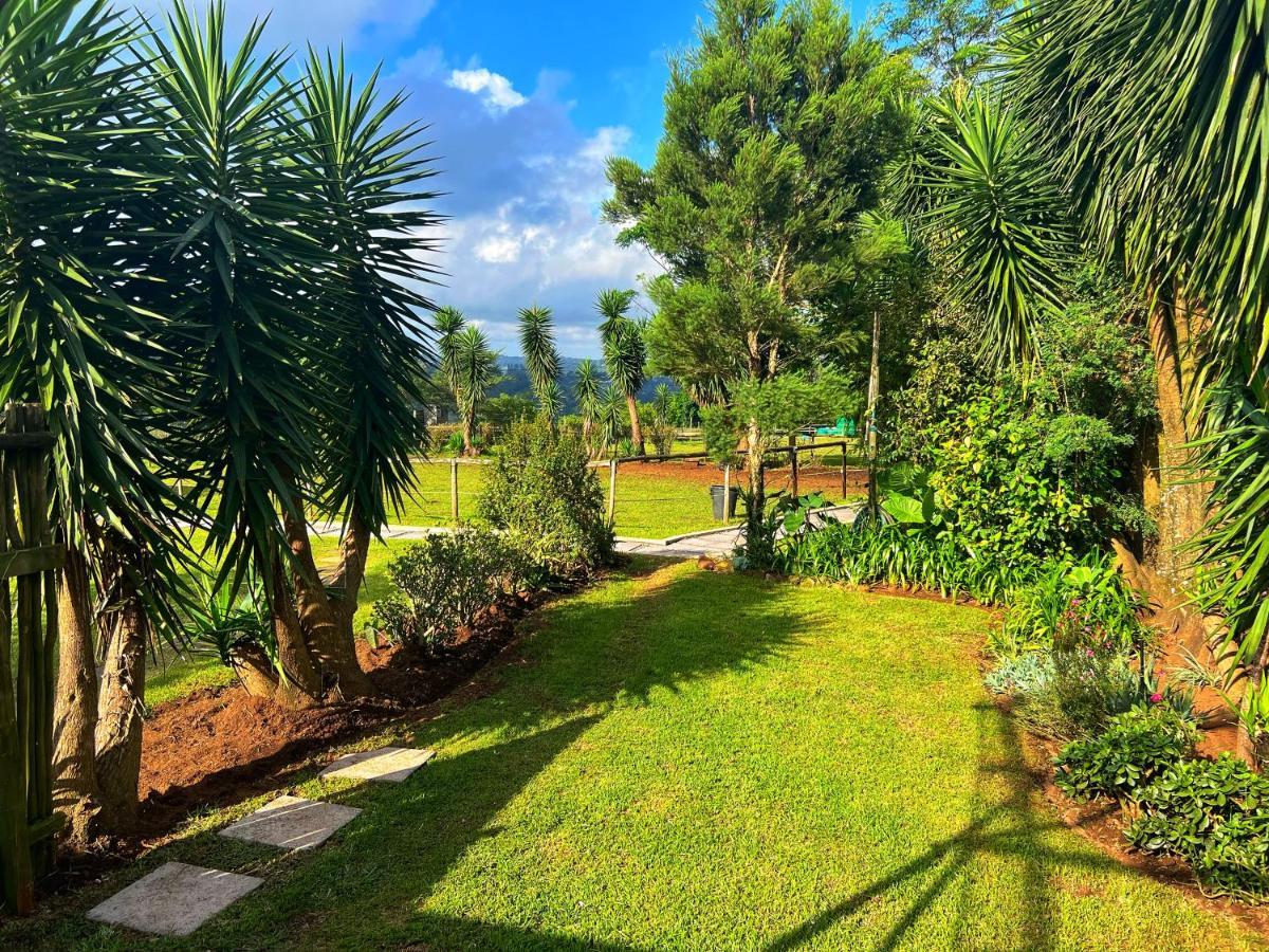 Fever Tree Guesthouse Hillcrest Dış mekan fotoğraf